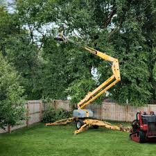 Best Hazardous Tree Removal  in Hurricane, UT