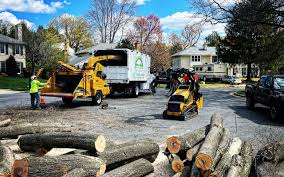 Best Leaf Removal  in Hurricane, UT